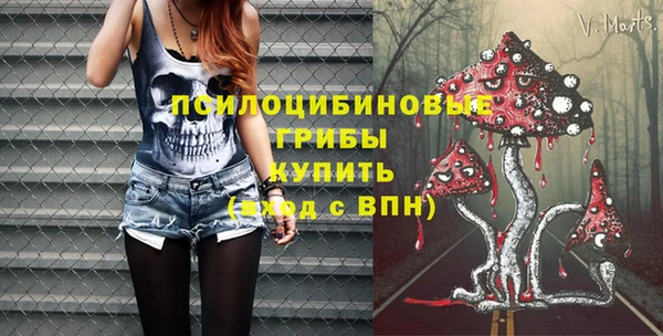 дмт Нефтегорск