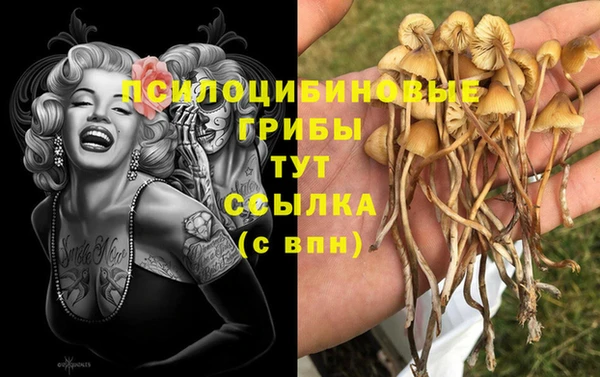 меф Билибино